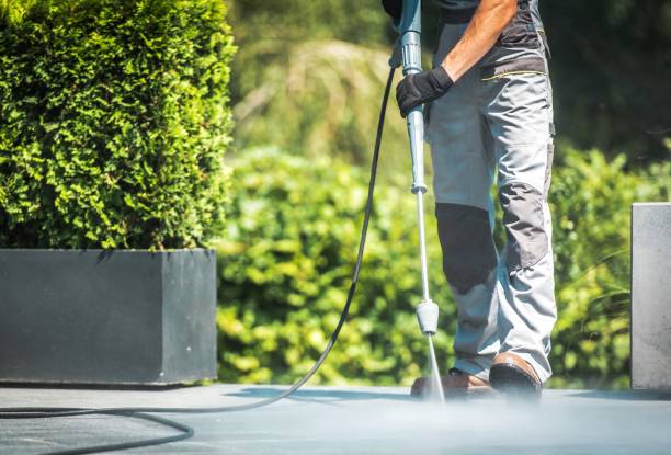 Best Roof Washing  in White Oak, MD